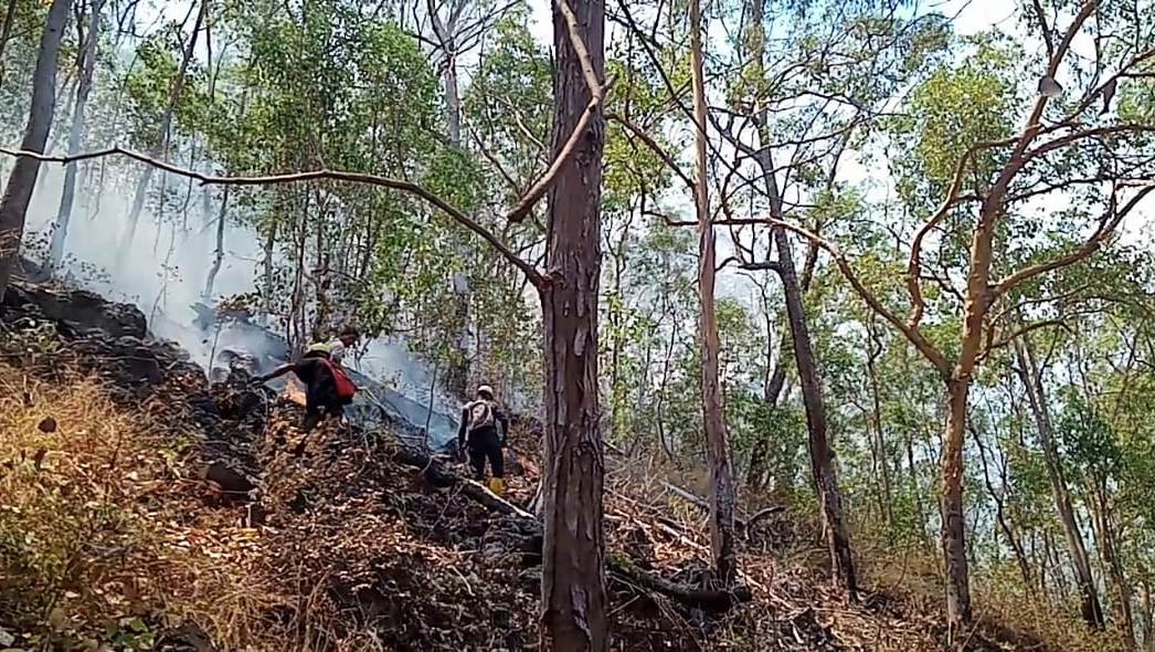 MEMASUKI hari ke 12, Kamis (9/9), kebakaran di Kabupaten Lembata  mengancam Kawasan hutan lindung Ile Lewotolo.