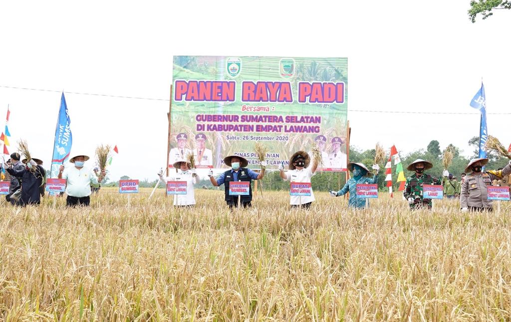 Gubernur Sumsel Herman Deru melakukan panen raya bersama masyarakat di Desa Muara Pinang Lama, Kecamatan Muara Pinang, Kabupaten Empat Lawan