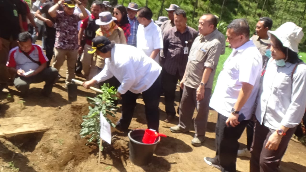 Menteri Lingkungan Hidup dan Kehutanan Siti Nurbaya saat peluncuran penanaman rehabilitasi DAS.