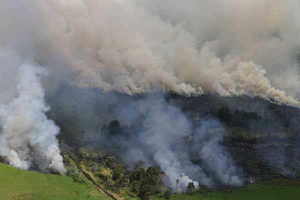 Kebakaran hutan dan lahan