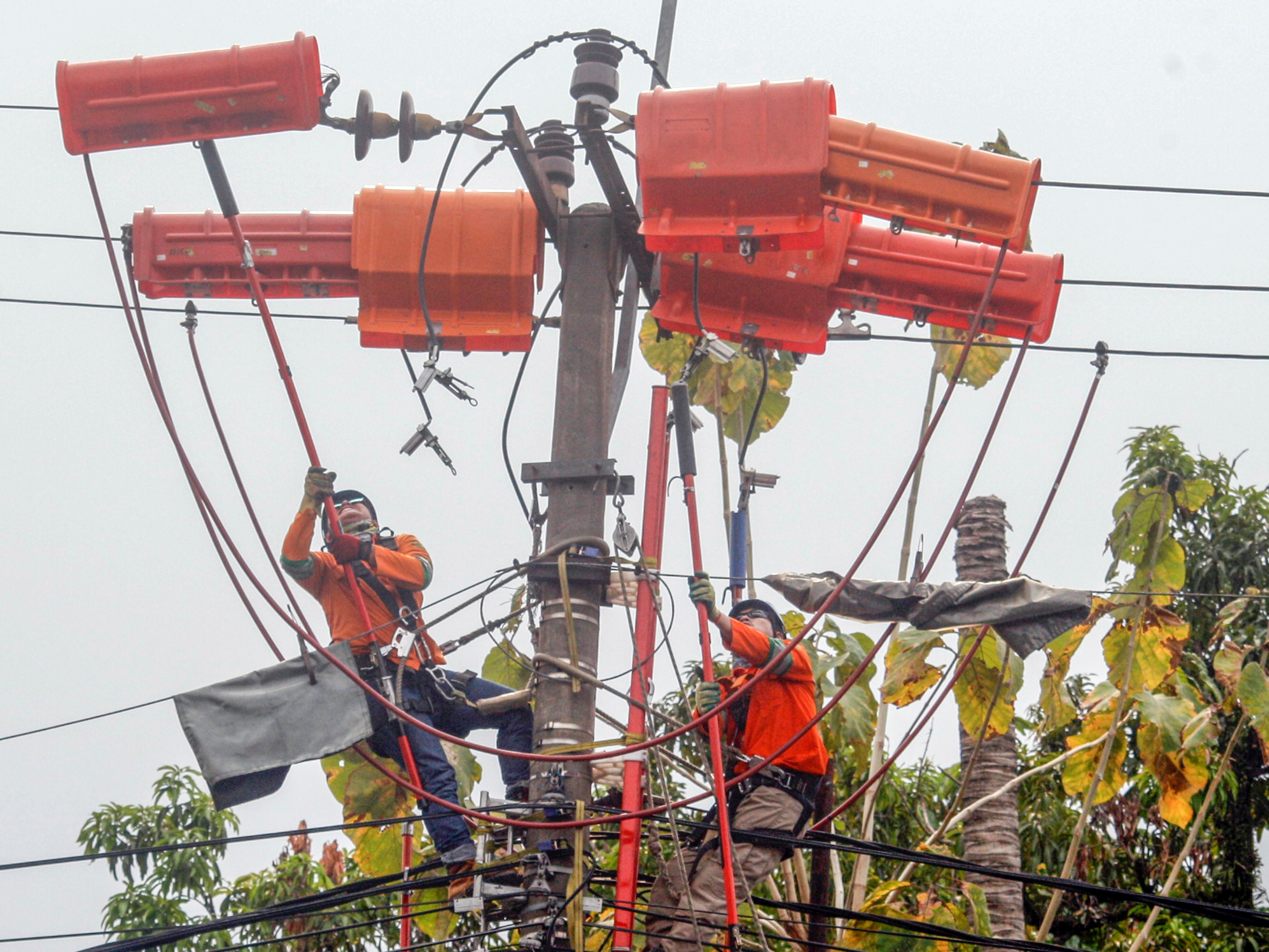 Petugas PLN melakukan perawatan jaringan listrik di Bogor, Jawa Barat, Kamis (10/9).