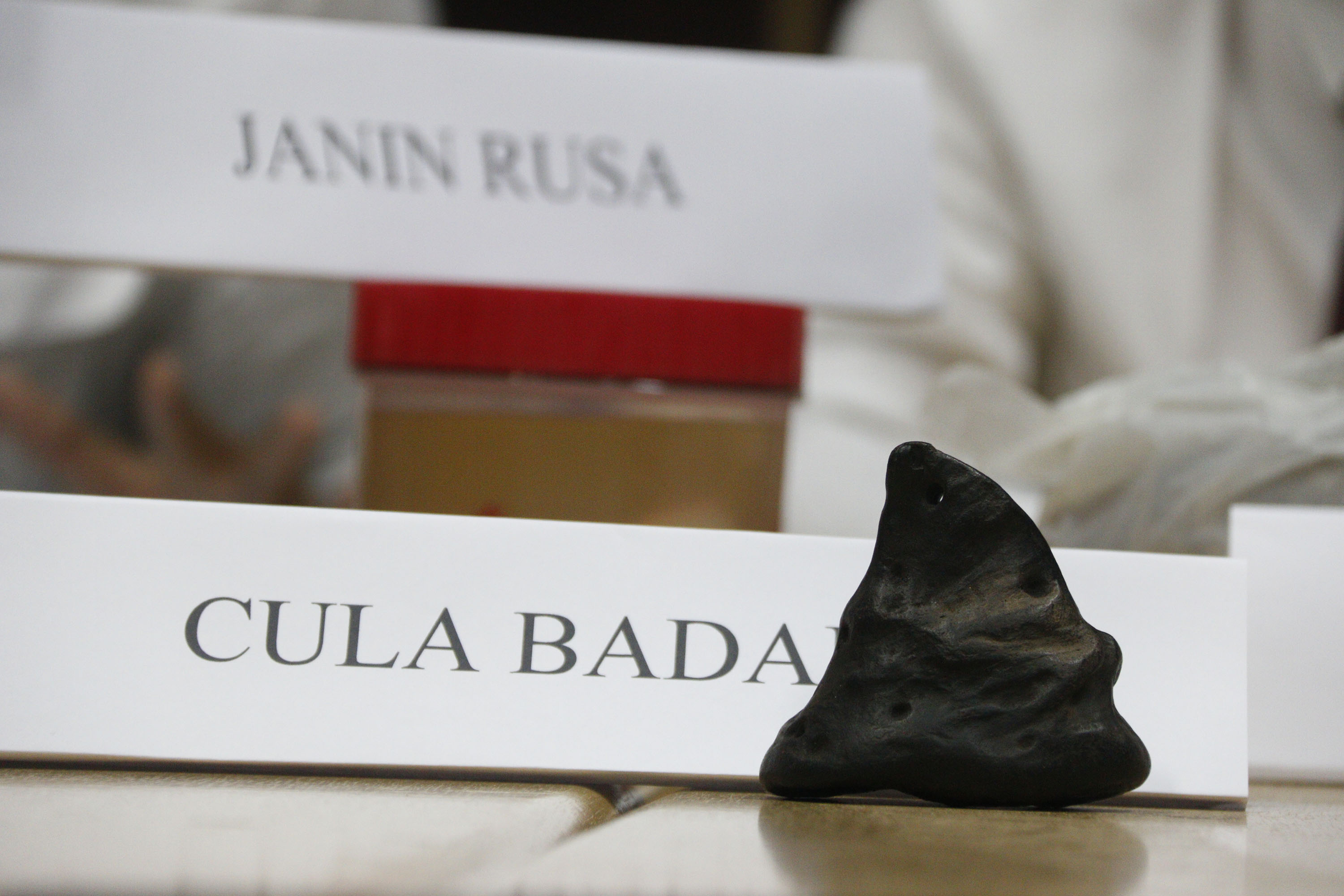 Ilustrasi cula badak