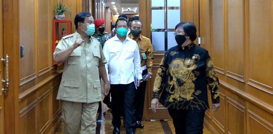 Pengembangan kawasan food estate