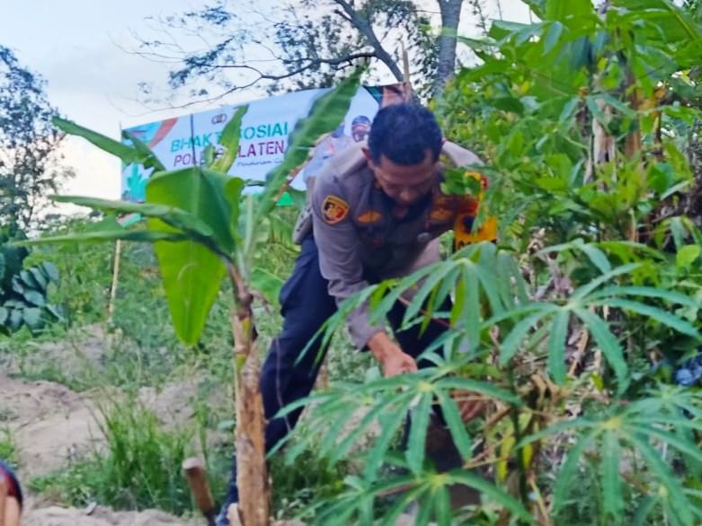 Kapolres Klaten AKB Edy Suranta Sitepu menanam bibit pohon jambu di lahan pekarangan warga Girpasang