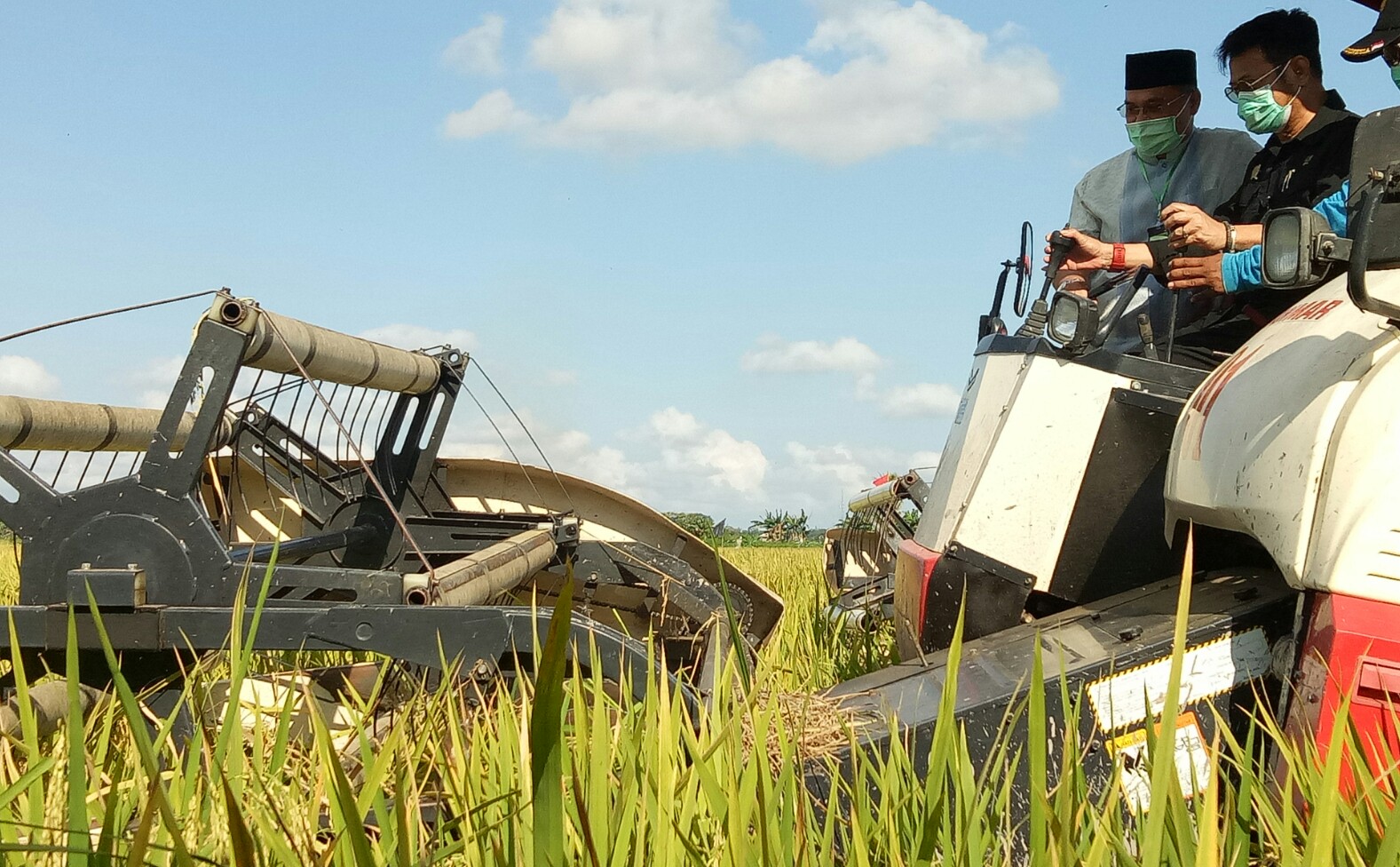 Menteri Pertanian Syahrul Yasin Limpo panen padi di desa rias bangka selatan (7/8).