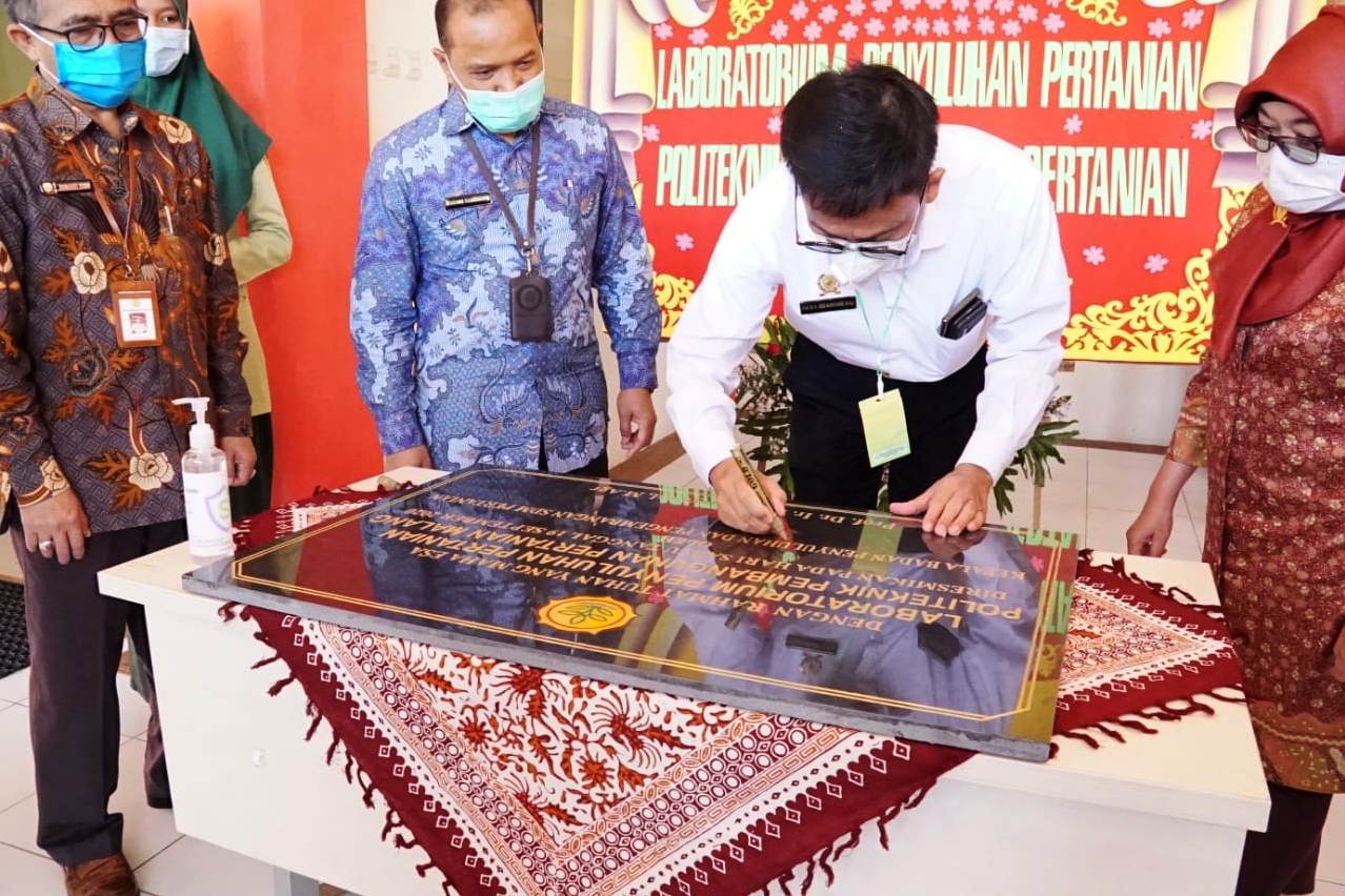 Kepala Badan Penyuluhan dan Pengembangan SDM Pertanian Kementerian Pertanian, Dedi Nursyamsi.