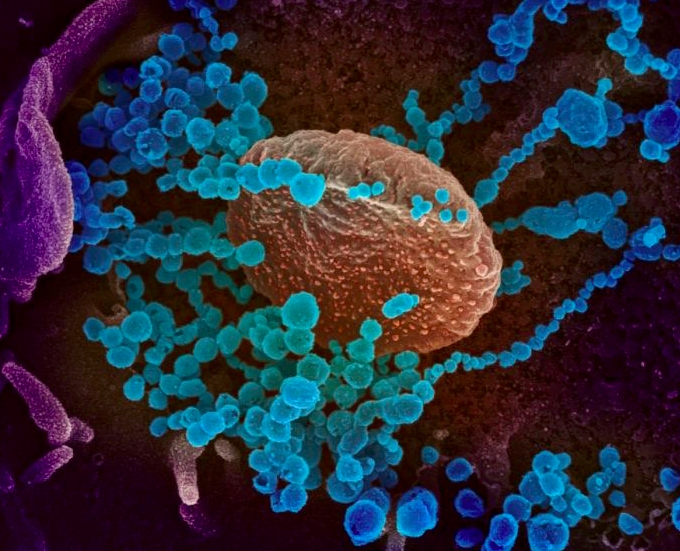 Ilustrasi virus korona 