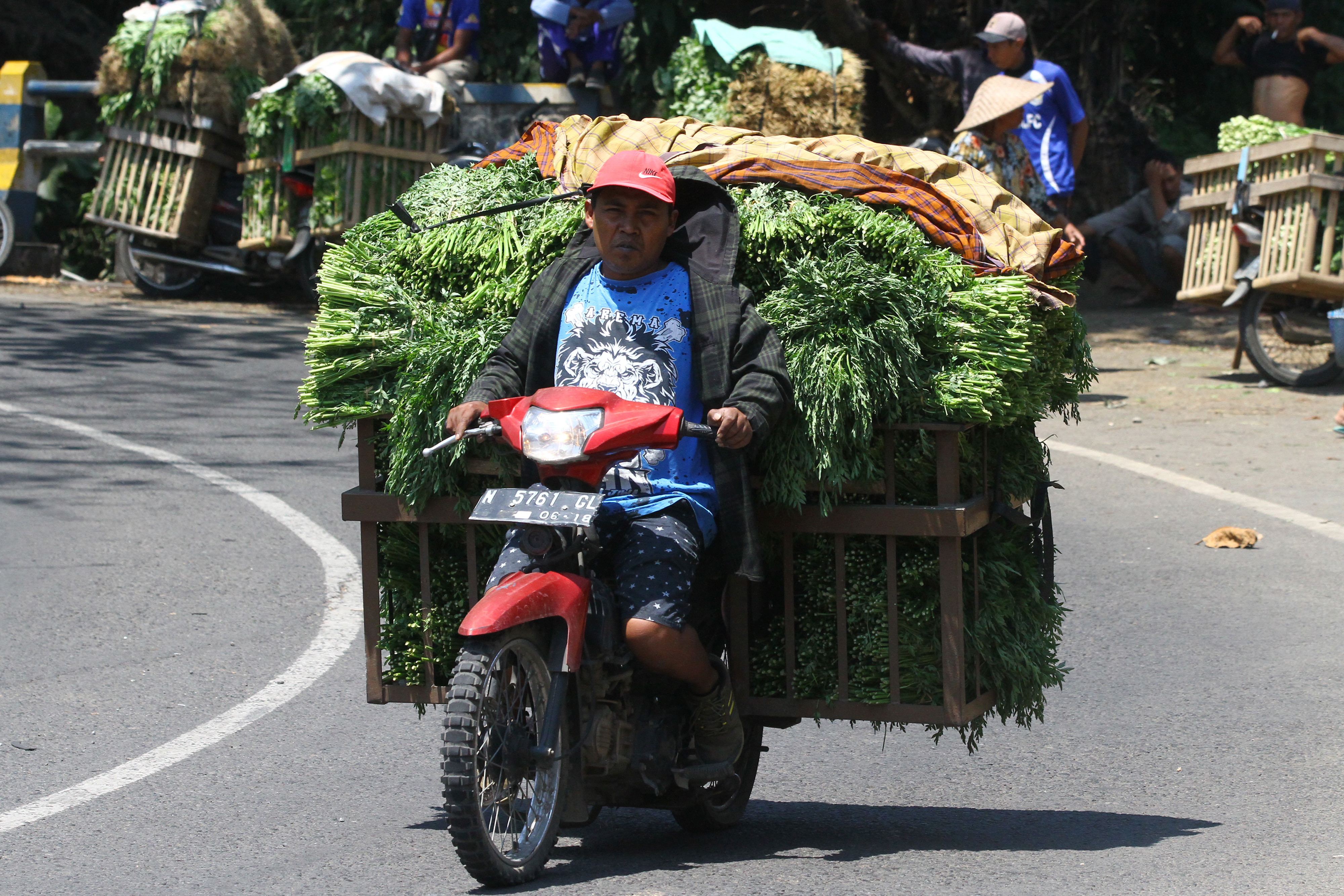 Petani membawa sayur hasil panen ke pasar tradisional di wilayah Malang, Jawa Timur.