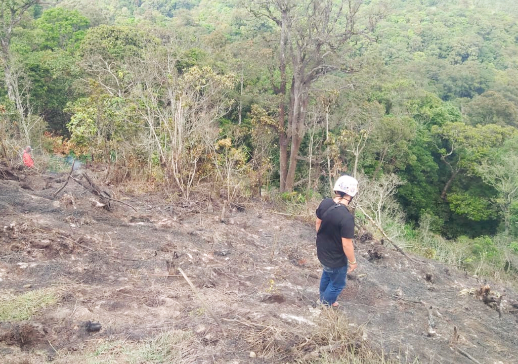 Relawan melihat kondisi hutan yang bekas terbakar, di lereng Gunung Tangkuban Parahu, Kabupaten Bandung Barat, Ja­wa Barat, kemarin.
