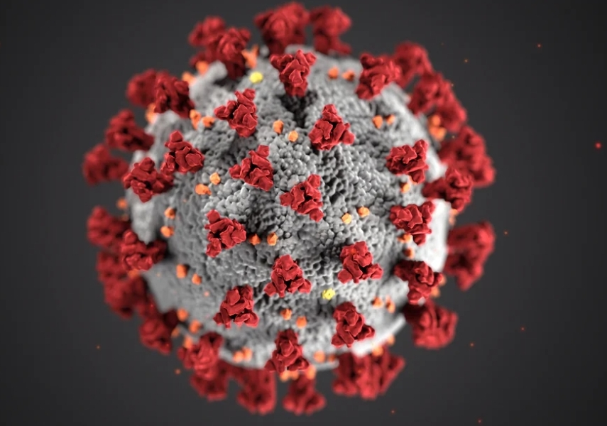 Riset Universitas Yale, Amerika Serikat, menunjukkan virus covid-19 dapat menyerang otak.