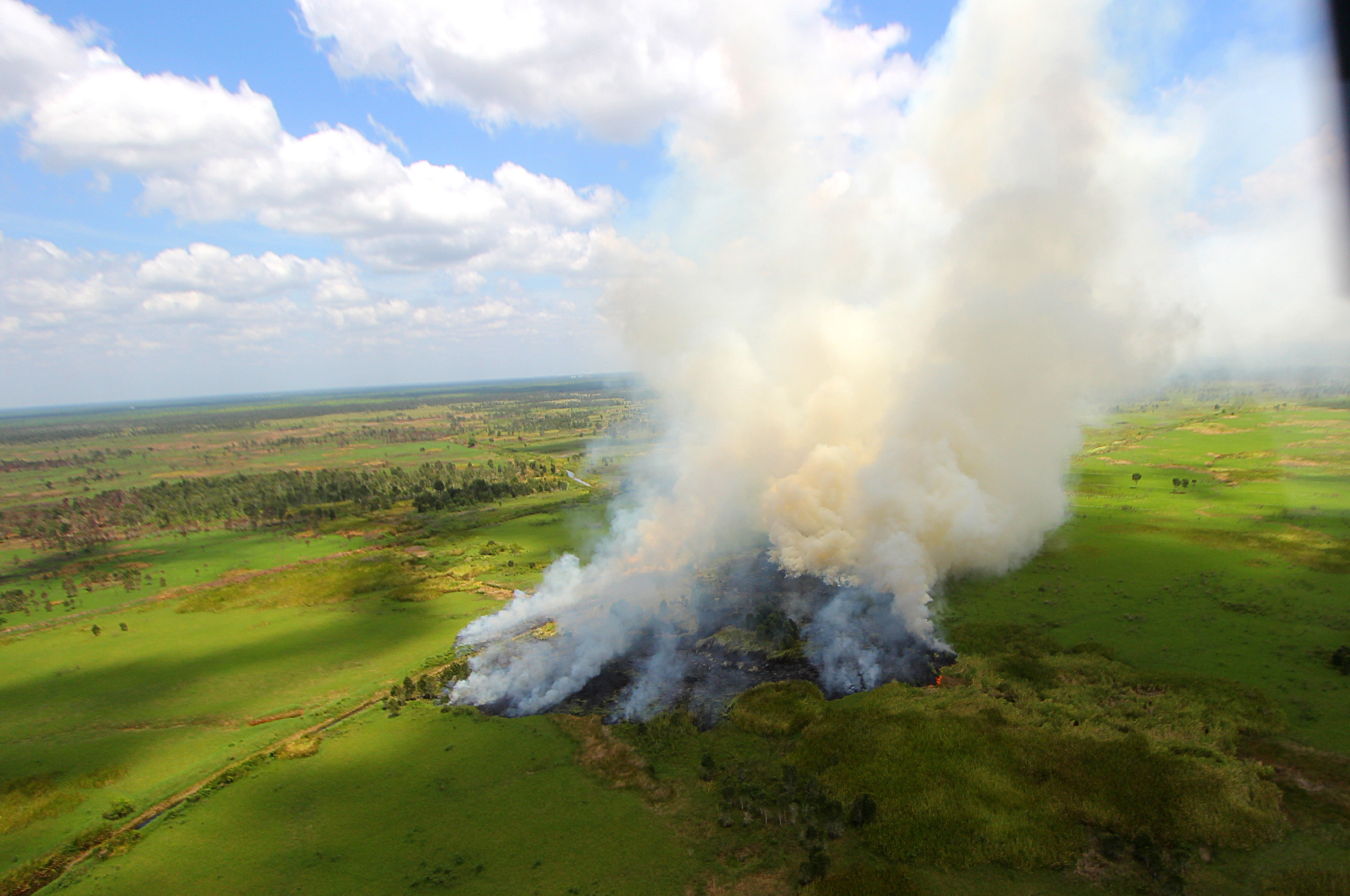 Kebakaran hutan dan lahan di Kalimantan Selatan