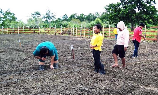Diklat digelar secara swadaya dari biaya operasional para widyaiswara dan dana operasional BPP Arso dan uang pribadi peserta 