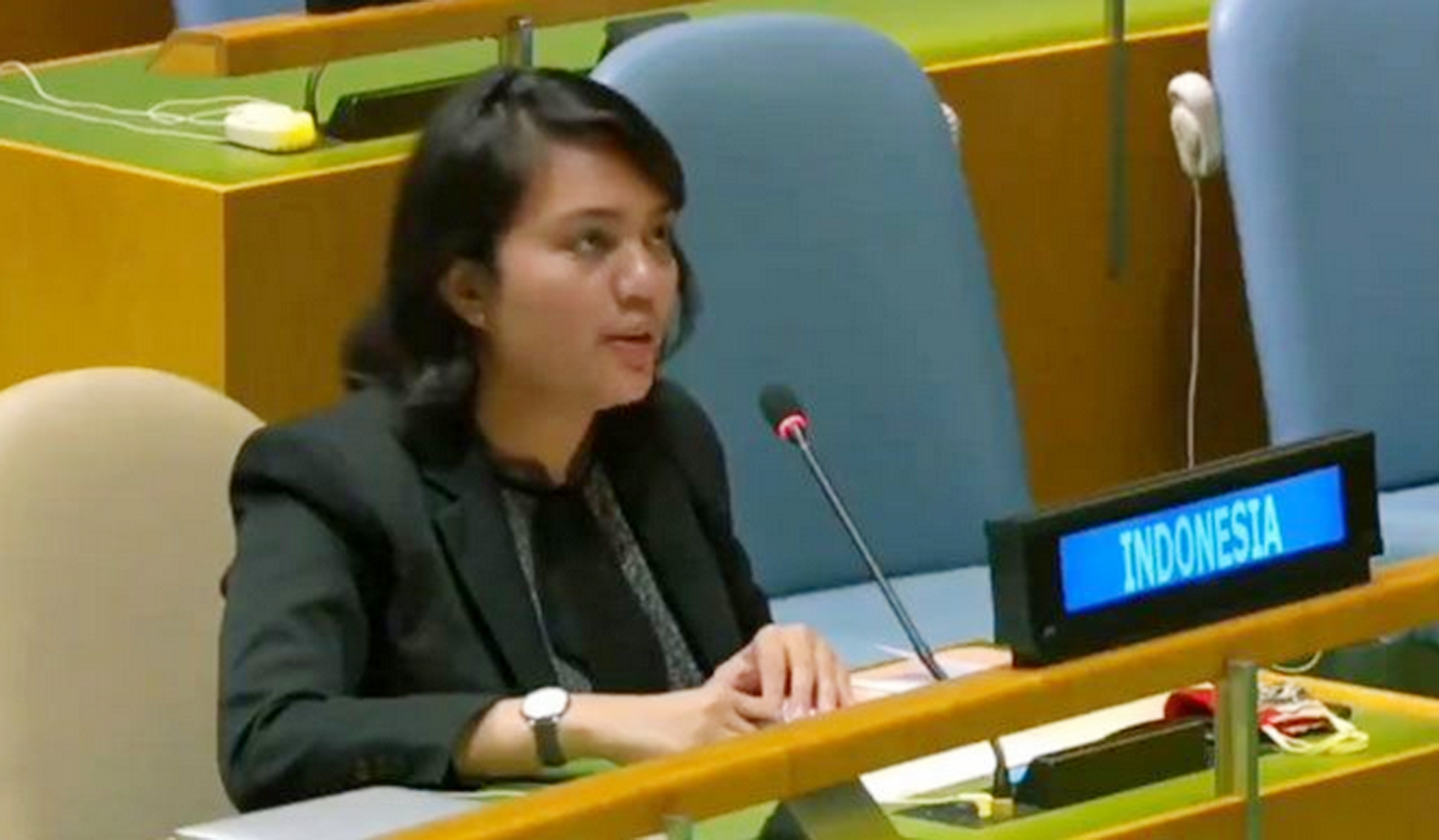 Silvany Austin menjadi wakil Indonesia dalam forum PBB.