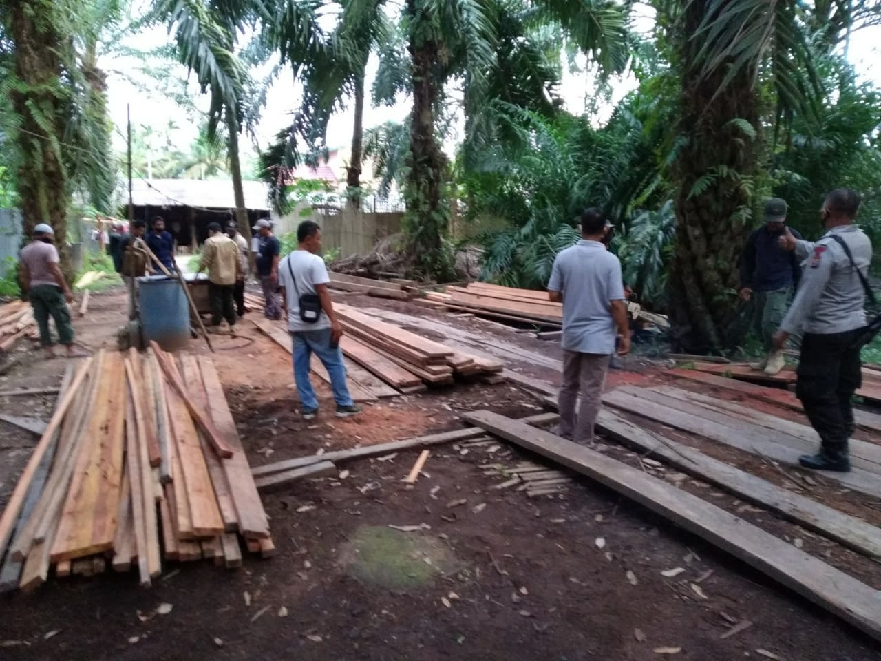 Tim operasi gabungan berhasil mengamankan dan menghancurkan sekitar 17 m3 kayu ilegal serta mesin pengolahan kayu di 3 sawmill