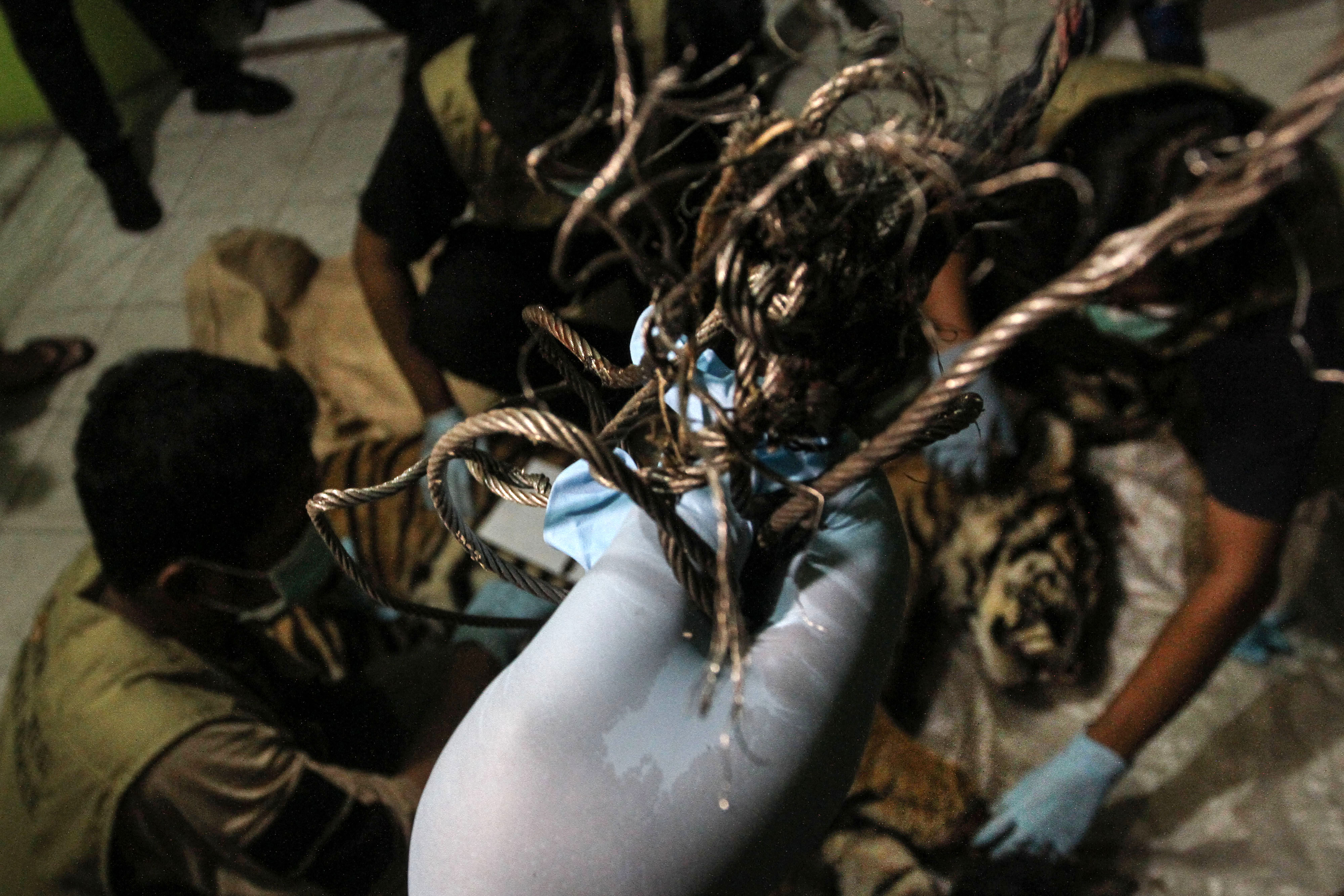 Harimau betina mati dalam kondisi terjerat sling di bagian leher di hutan produksi, 45 meter dari batas konsesi PT SSL.