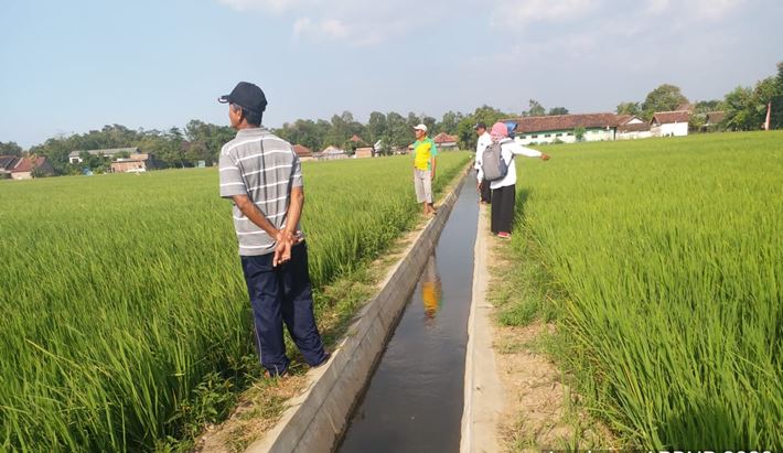 Kegiatan rehabilitasi jaringan irigasi tersier dilaksanakan di wilayah Kabupaten Jombang, Jawa Timur. 