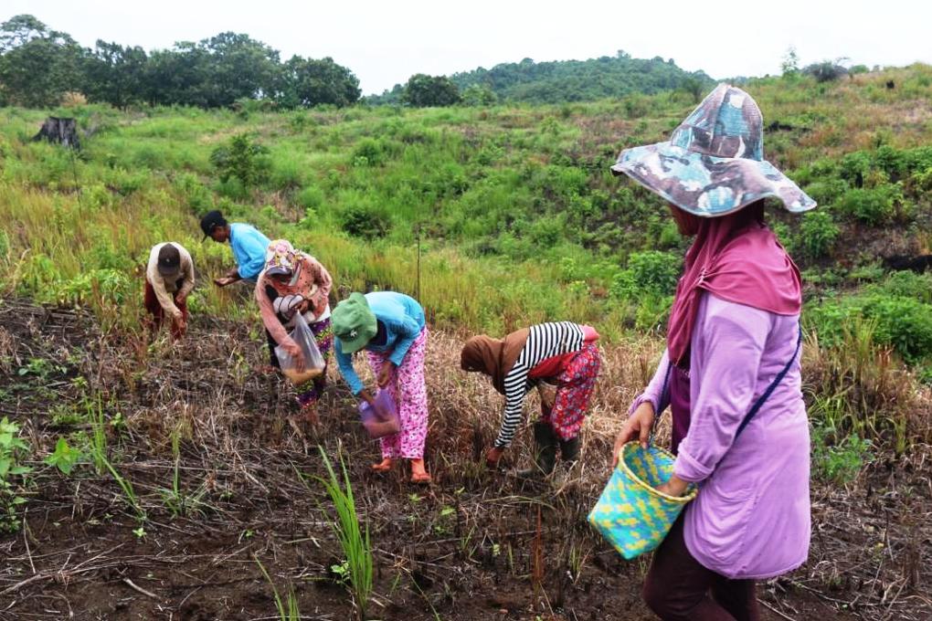 KLHK Apresiasi Upaya PT Pertamina Hulu Mahakam Merehabilitasi DAS Kendilo.
