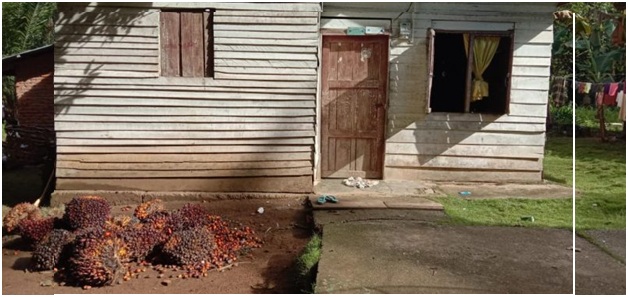 Kondisi rumah petani kelapa sawit di daerah.