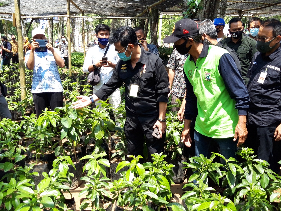 Mentan Syahrul Yasin Limpo di kebun pohon induk pembibitan alpukat Desa Wonorejo, Kecamatan Lawang, Kabupaten Malang, Jatim, Kamis (3/9).