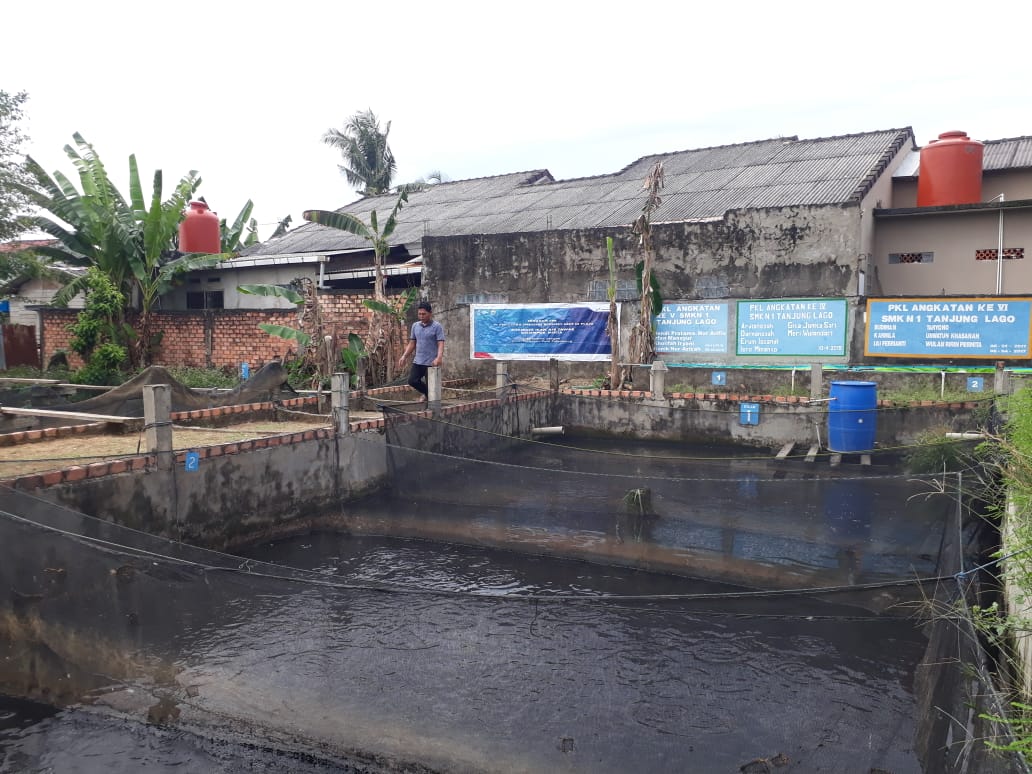 Wibowo Supriyadi, owner UKM Mulia Lele di Palembang.