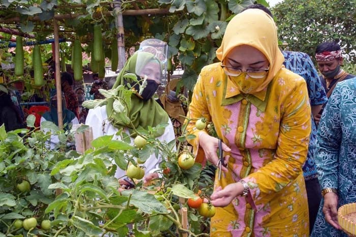Bupati Purwakarta, Anne Ratna Mustika menyambangi KWT Bina Lestari, meresmikan Hibar Eco Village.