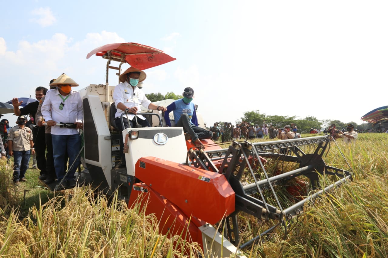 Mentan melakukan kunjungan kerja dalam rangka panen padi di Desa Karang Tumaritis Kecamatan Haurgeulis, Kabupaten Indramayu.