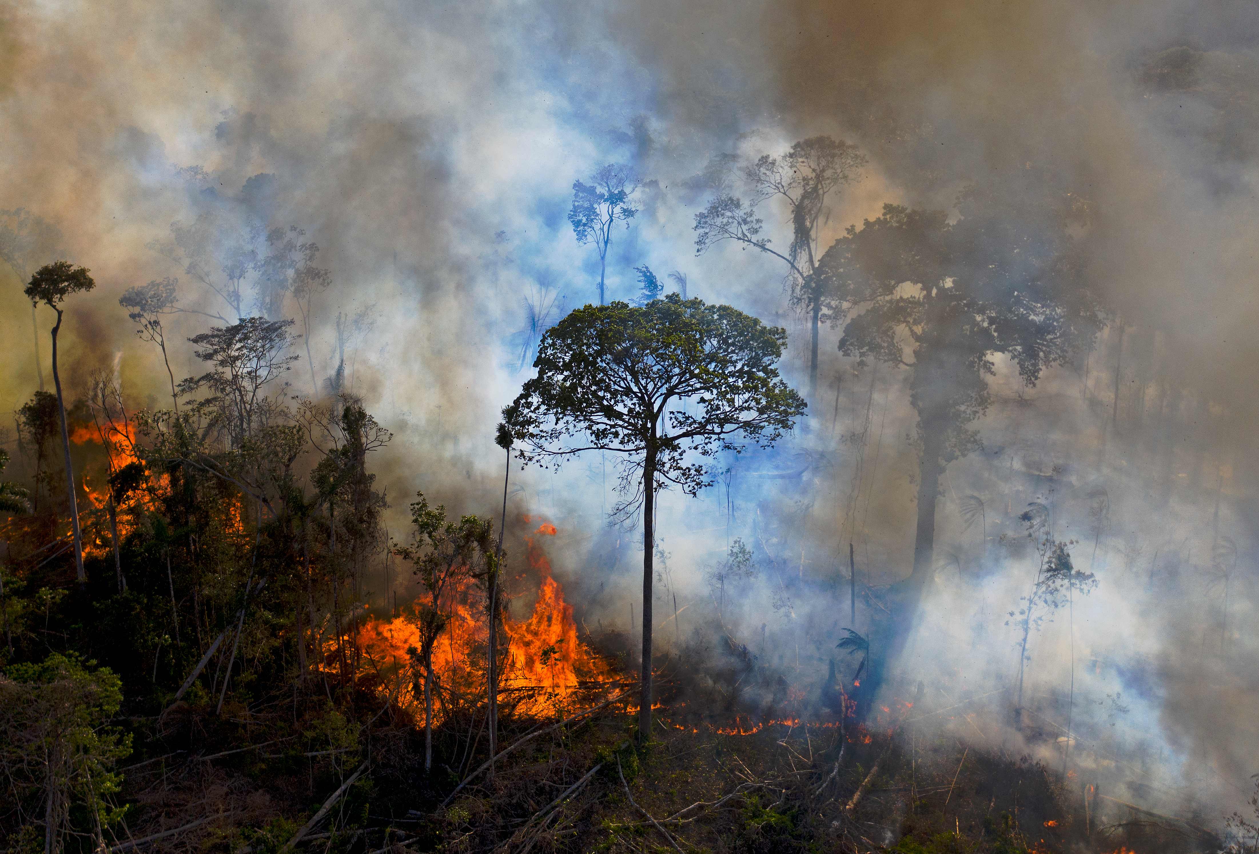Kebakaran hutan di Hutan Amazon, Brasil.