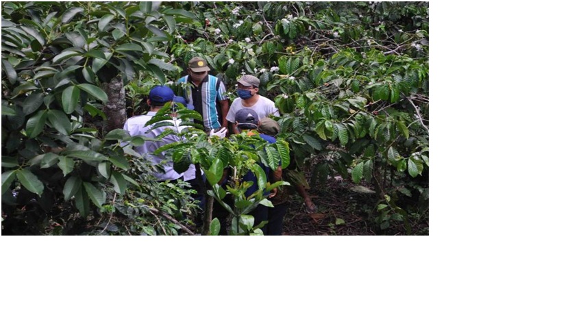 Momen peringatan Hari Tani Nasional 2020, Kementan mendorong para petani milenial.