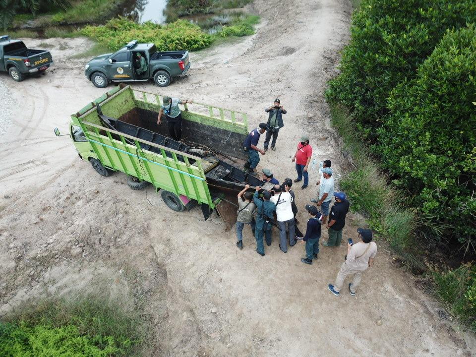 Tim Gakkum KLHK mengamankan truk berisi kayu bakau ilegal pada Sabtu (26/9).