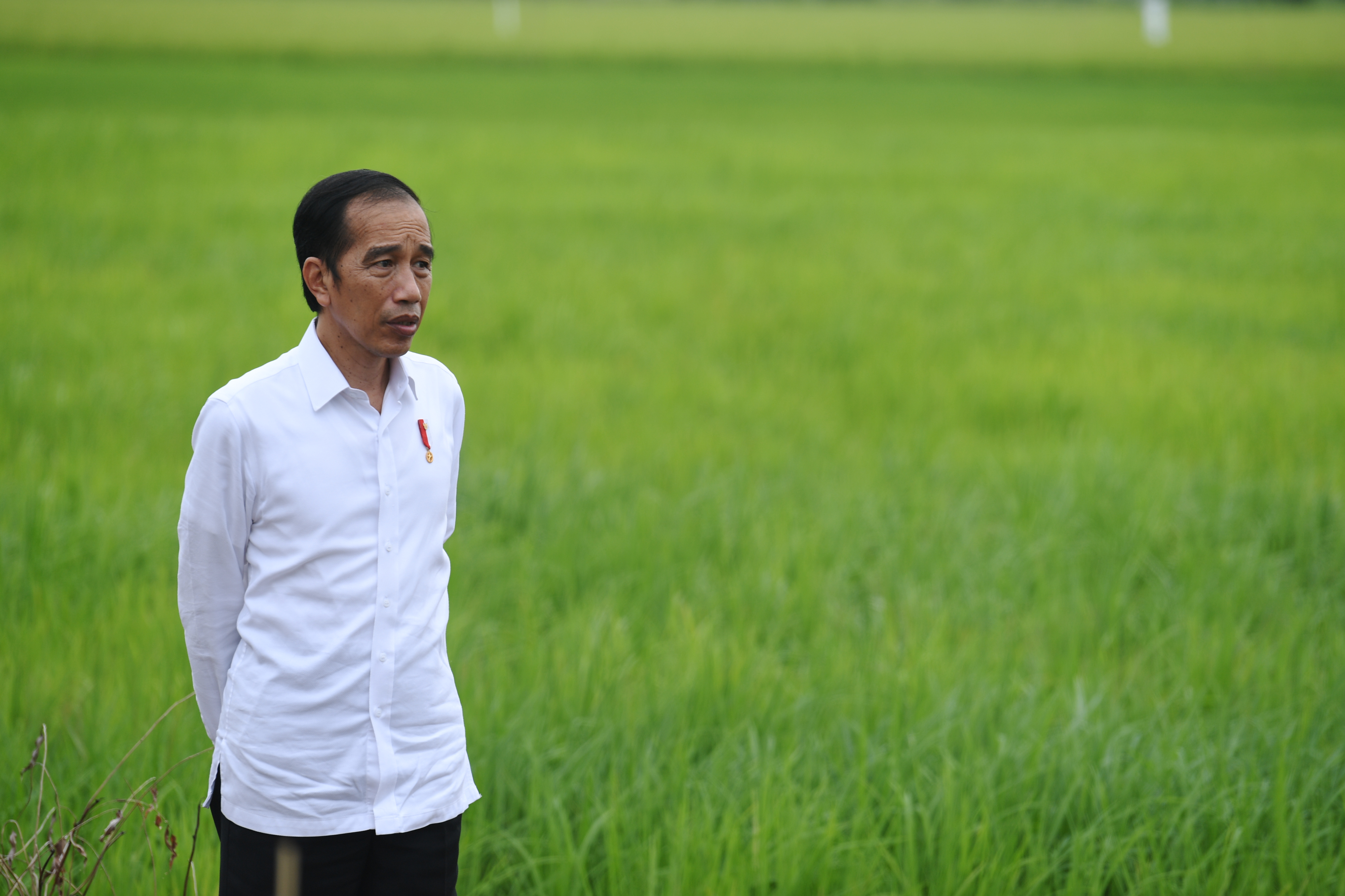 Presiden Joko Widodo