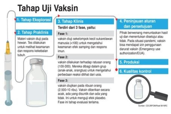 Tahap Uji Vaksin