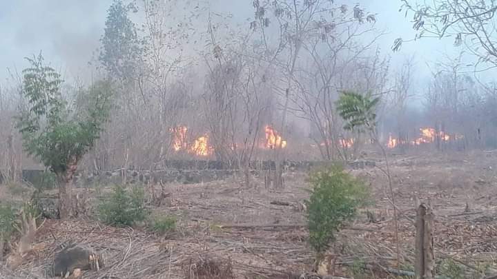 Kebakaran lahan gambut di Kecamatan ile Bura, Flotim, NTT meluas dan mendekati kawasan Gunung Lewotobi.