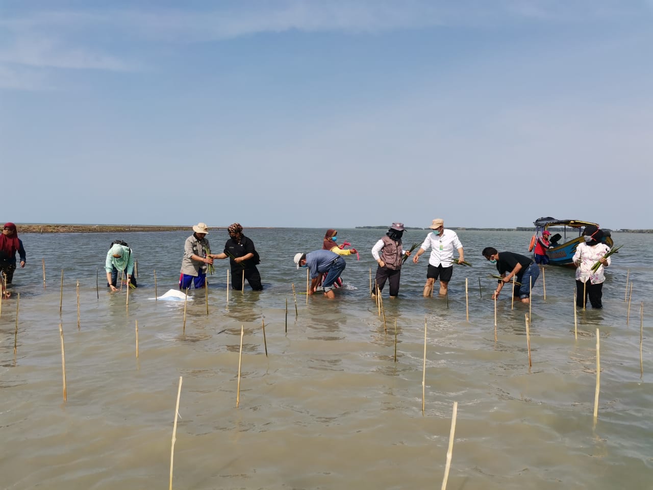 Penanaman mangrove  di sekitar obyek wisata Pulau Cemara di Desa Sawojajar Kecamatan Wanasari Kabupaten Brebes Jawa Tengah, Kamis (8/10/2020