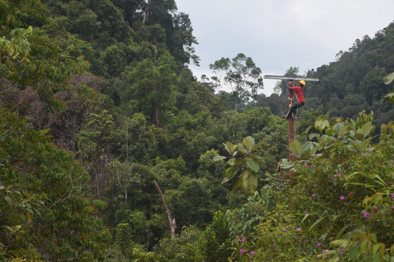 Petugas PLN memasang jaringan listrik di Riau, kini tinggal 11 desa di sana yang belum teraliri listrik ditargetkan akhir tahun ini beres.