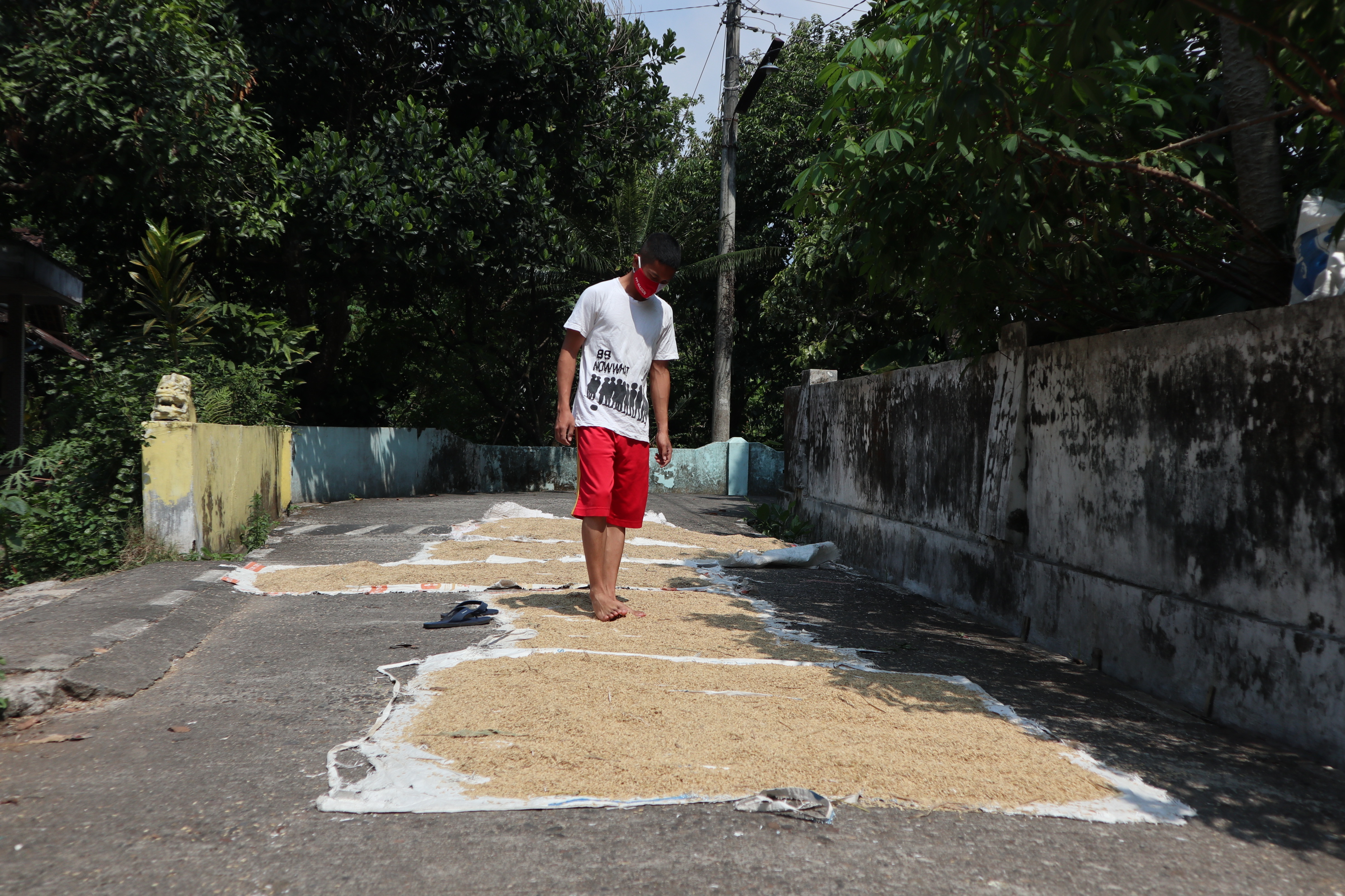 Petani di Kelurahan Madureso, Kecamatan/Kabupaten Temanggung sedang menjemur gabah. Saat ini harga gabah di wilayah itu naik.