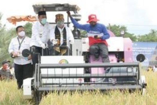 Sektor Pertanian Andalan Ekonomi Bangsa