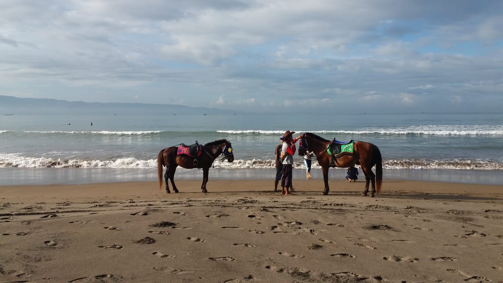 Sejumlah penyedia jasa sewa kuda sedang berkeliling mencari wisatawan sedang berlibur di kawasan Pantai Palabuhanratu, Kabupaten Sukabumi.