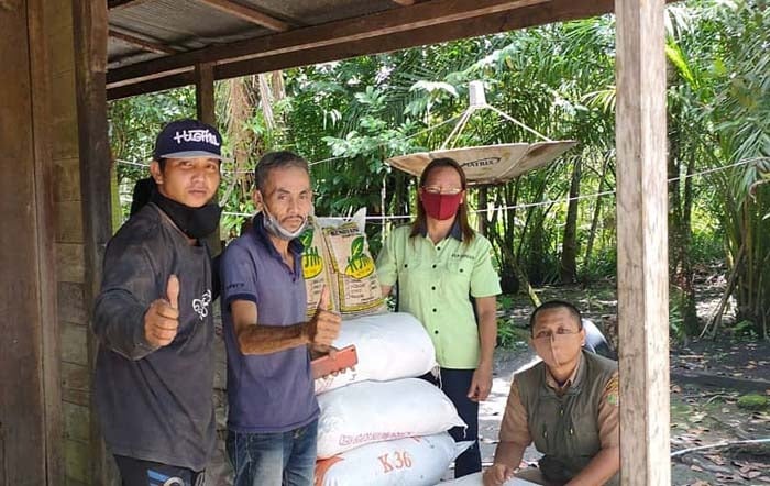 Petani Kabupaten Barito Timur, menyiapkan persemaian padi MT I didampingi penyuluh dan Koordinator BPP Paju Epat, Lukmanul Chakim (duduk)