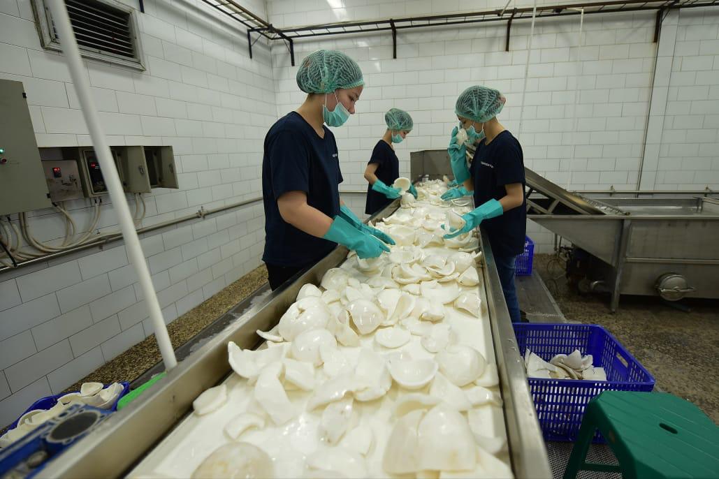 Karyawan memilah kelapa menjadi bahan baku santan beku.