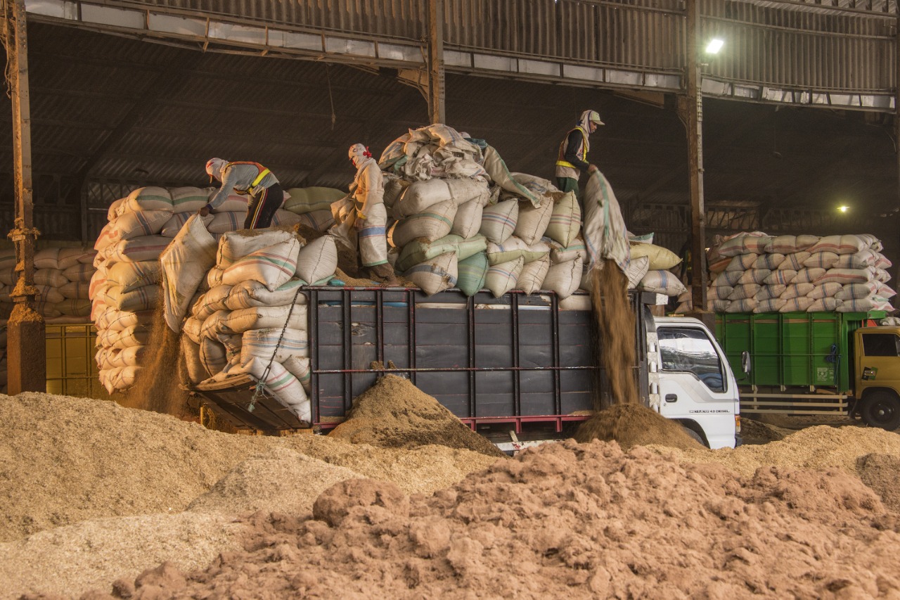 Penggunaan sekam padi sebagai bahan bakar alternatif di Pabrik Tuban.