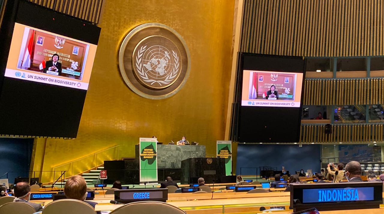 Menteri LHK Siti Nurbaya memaparkan pandanganna di KTT tentang Keanekaragaman Hayati Majelis Umum PBB ke-75 secara virtual.