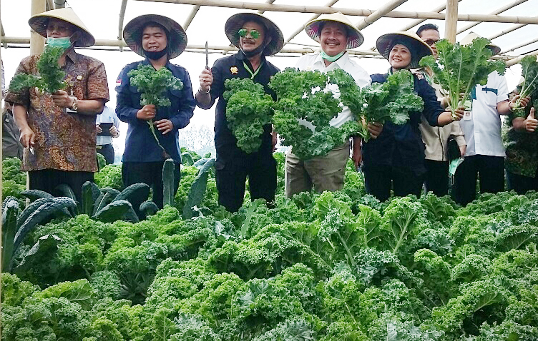 Mentan Syahrul Yasin Limpo (ketiga dari kiri) saat panen perdana sayuran organik hasil budi daya yang dikembangkan petani milenial Jateng