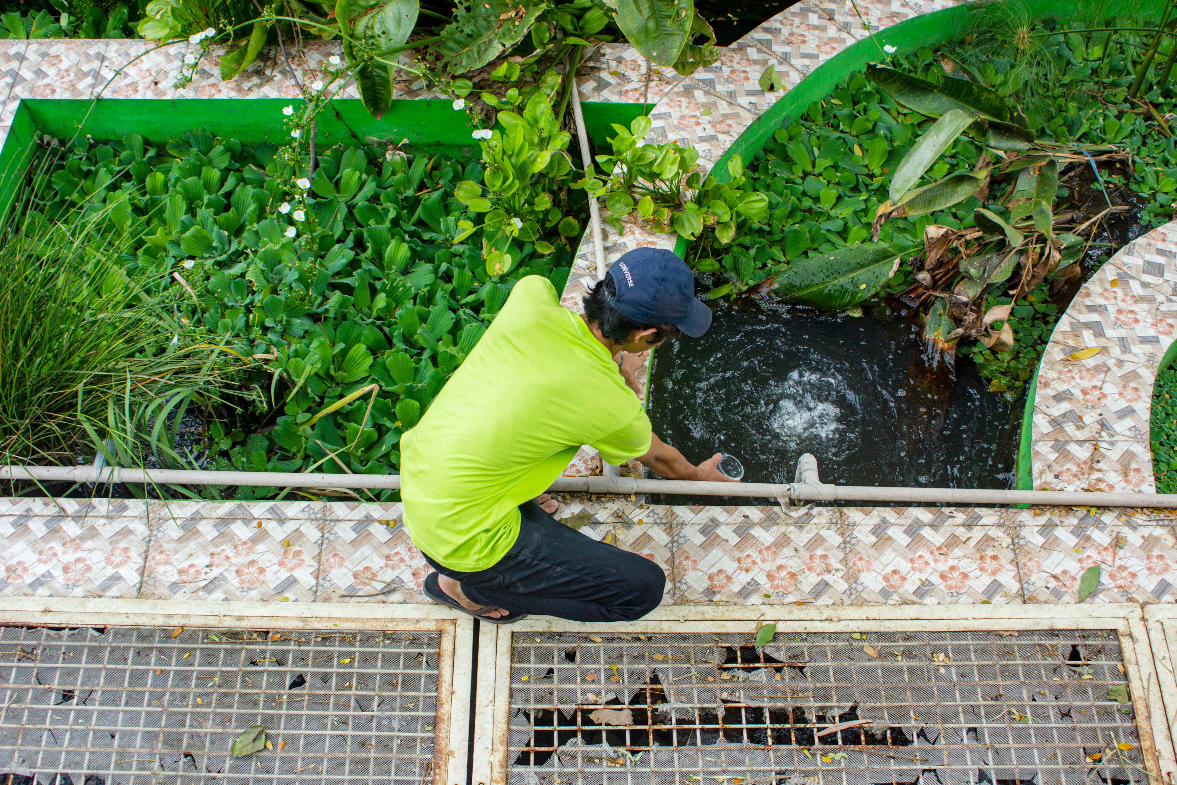 Pentingnya Mitigasi Bencana Alam Berbasis Ekosistem