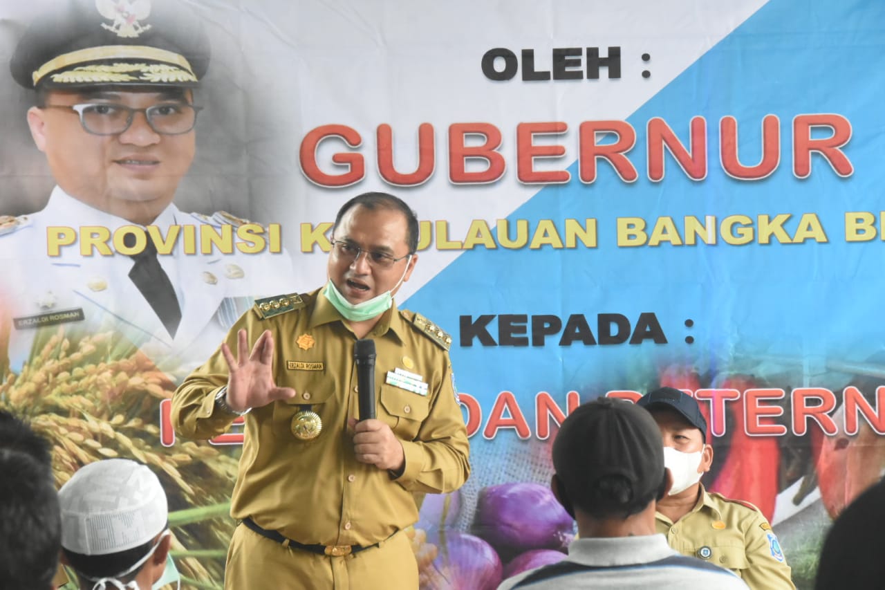 Bangka Tengah Jadi Sentra Strategis Pengembangan Cabai dan Bawang 