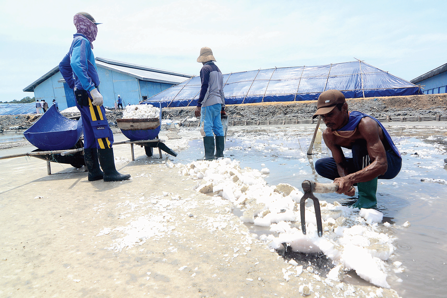 Mutu Garam Rendah Impor Jadi Pilihan