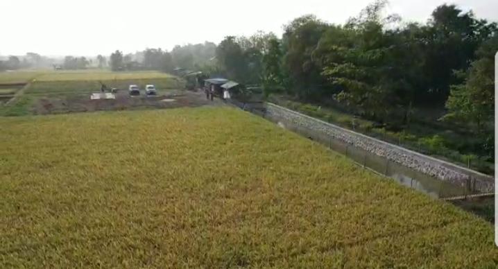 Ditjen Prasarana dan Sarana Pertanian (PSP) Kementerian Pertanian membangun embung di wilayah Kabupaten Indramayu, Jawa Barat.