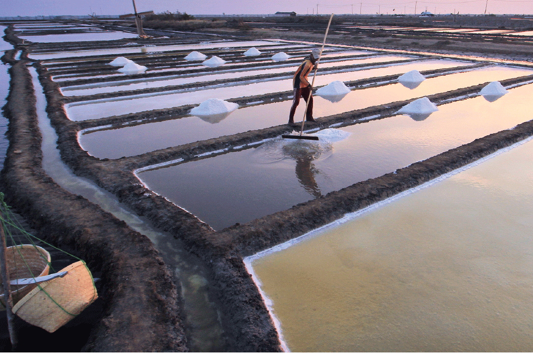 Petani memanen garam di Desa Tanjakan, Karangampel, Indramayu, Jawa Barat, Kamis (21/9).
