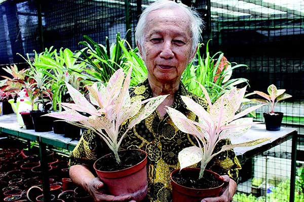 Gregori Garnadi Hambali