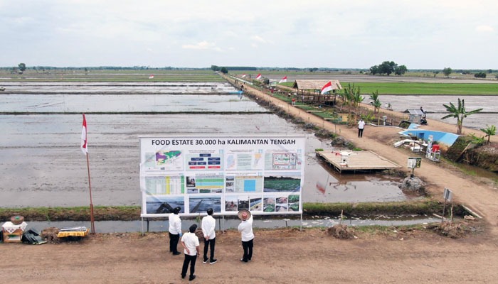 Program Food Estate Kalteng di Pulang Pisau targetkan pengembangan 10.000 hektar lahan, dan Kapuas sekitar 20.000 hektar hingga akhir 2020.