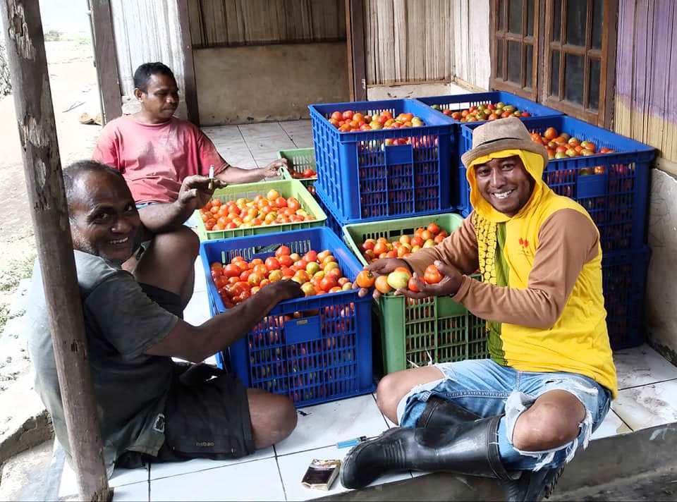  Pelaku UMKM di bidang pertanian tanaman hortikultura di Desa Tilang mendapatkan dana pinjaman LPDB.